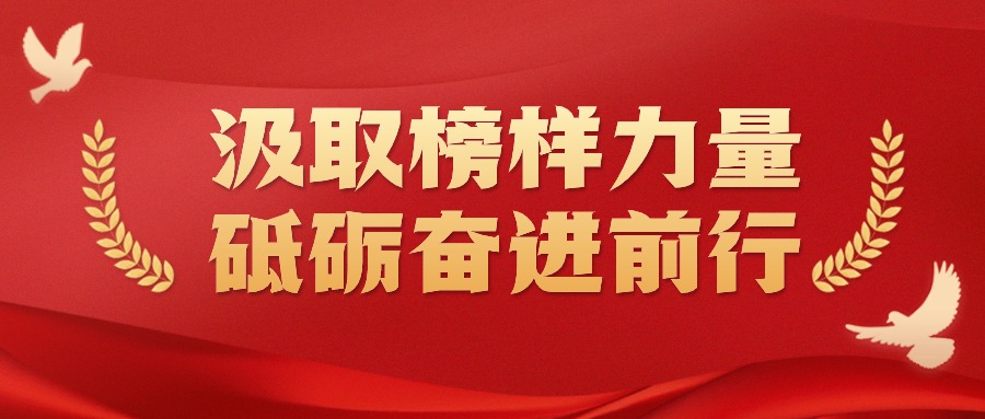 汲取榜样力量 砥砺奋进前行&mdash;&mdash;中瑞诚党支部在华坪女高开展党性党纪现场教育活动